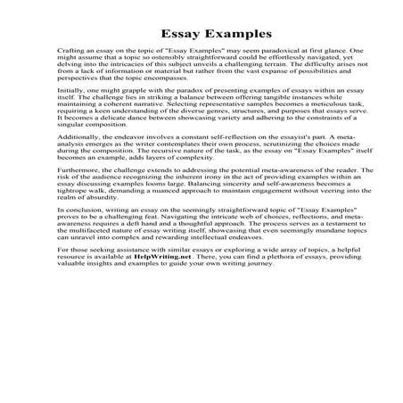 Essay Examples | PDF
