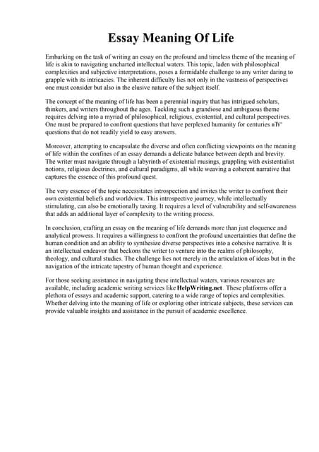Interpretation Essay | PDF
