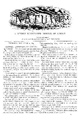 Essay on beautiful nature