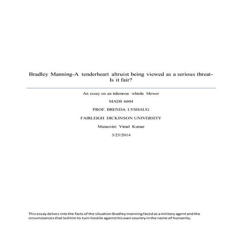 Essay on Bradley Manning