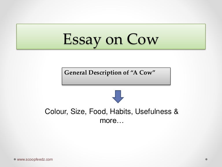 Essay on cow (Lesser Known Facts about Cow)