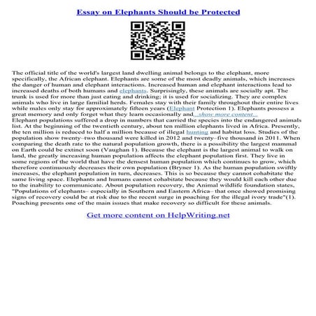 Essay On The Elephant