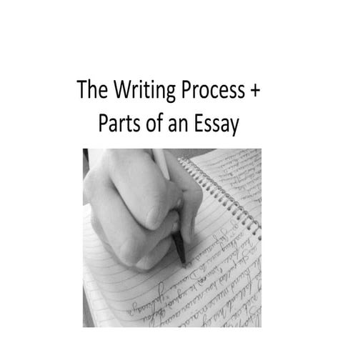Essay parts