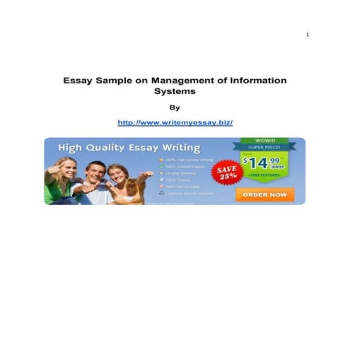 Essay Sample on Management of Information Systems