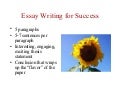 Definition essay about success