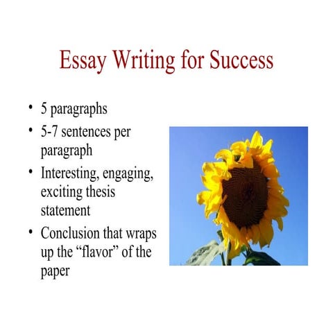 Three paragraph essay | PPTX
