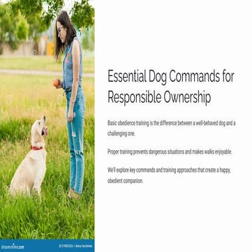 Essential Dog Commands for Responsible Ownership | PDF