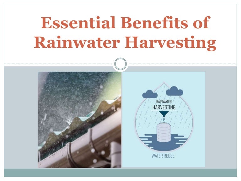 Essential Benefits of Rainwater Harvesting