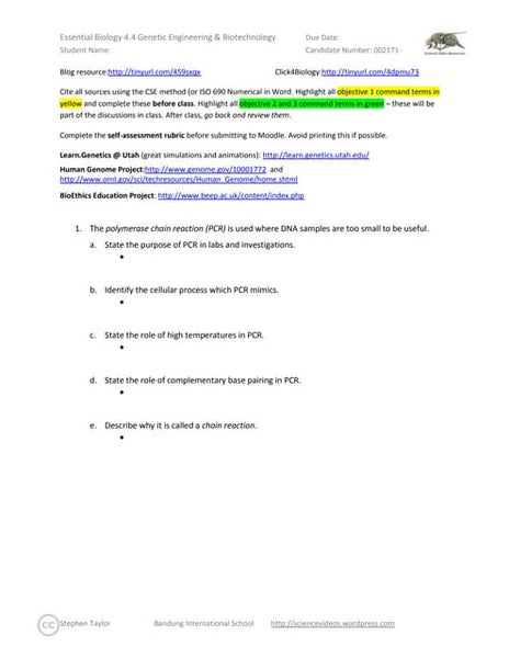 Find the CAT - DNA Profiling Worksheet