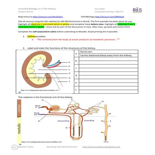 Essential Biology 11.3 The Kidney (AHL)