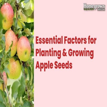 Essential Factors for Planting & Growing Apple Seeds | PDF
