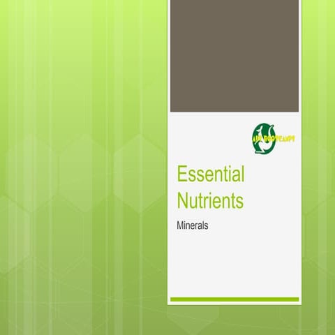 AUS Bootcamps - Essential Nutrients - minerals