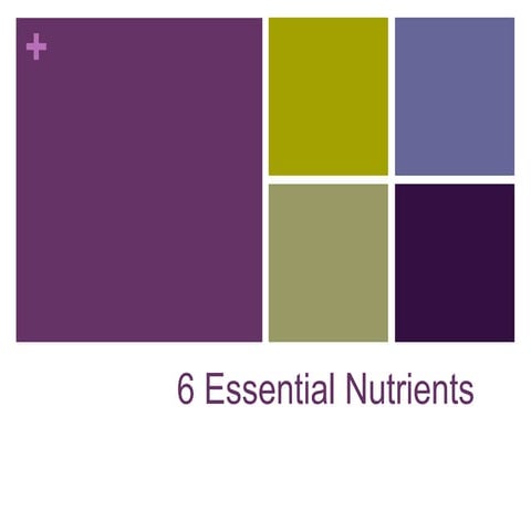 Essential nutrients pp