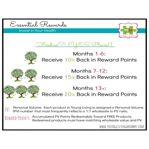Essential rewards flyer | PDF