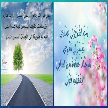 Essentials of electrotherapy in physical therapy practice (workshop)