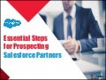 Essential Steps for Prospecting Salesforce Partners