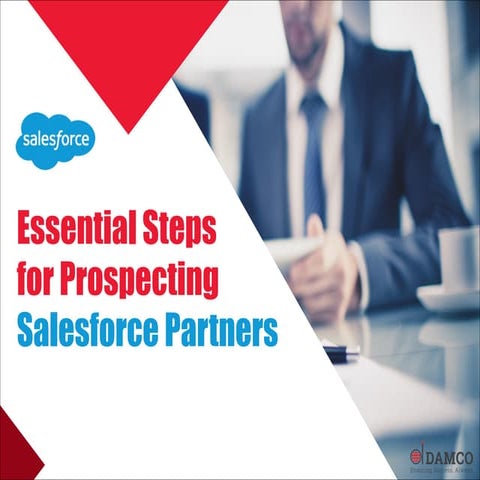 Essential Steps for Prospecting Salesforce Partners