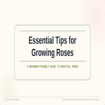 Essential Beginner's Guide to Growing Beautiful Roses Successfully | PDF
