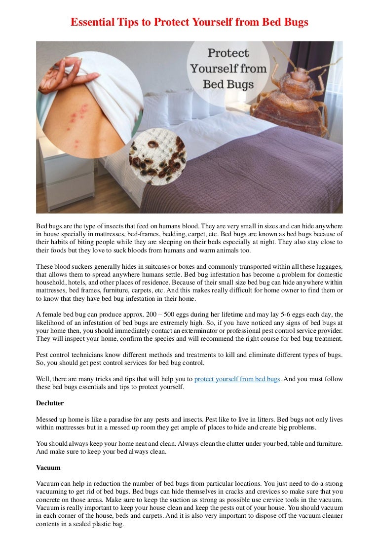 Essential Tips To Protect Yourself From Bed Bugs