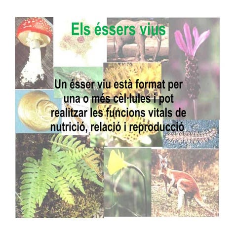 Els éssers vius s'adapten i evolucionen