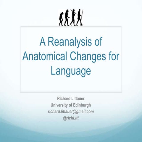 A Reanalysis of Anatomical Changes for Language