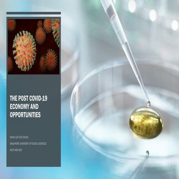 Post COVID-19 Economy and Opportunities