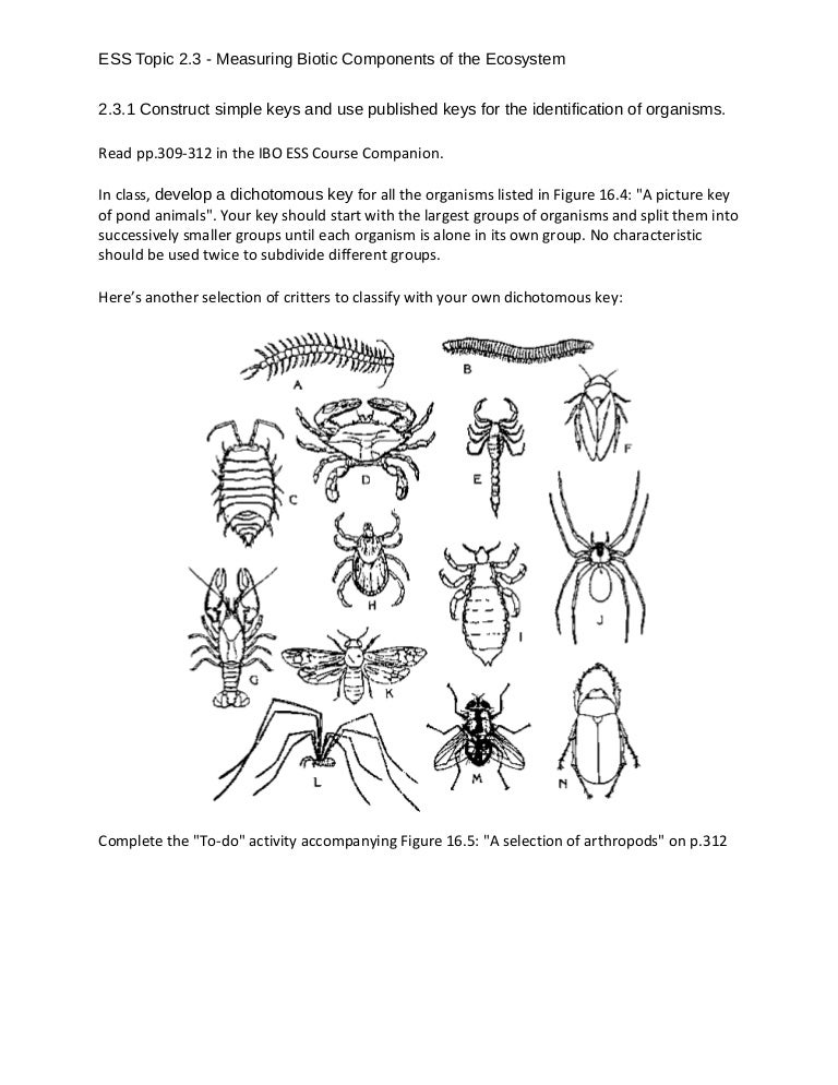 Biotic and abiotic factors in an ecosystem worksheet
