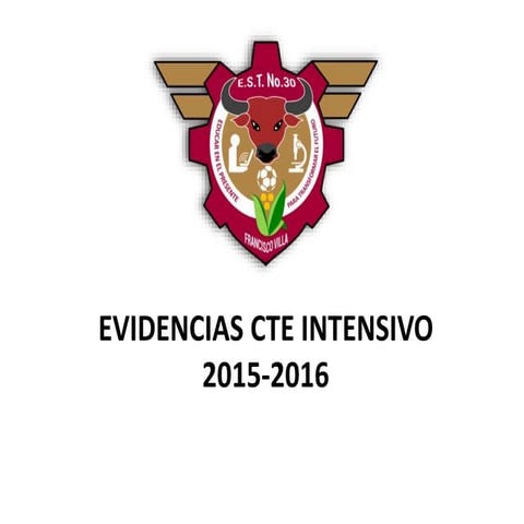 Est30   evidencias cte intensivo
