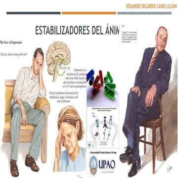 Estabilizadores del ánimo