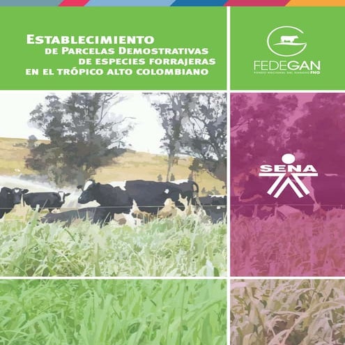 Establecimiento parcelas tropalto