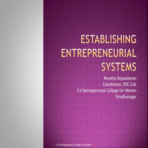 Establishing entrepreneurial systems