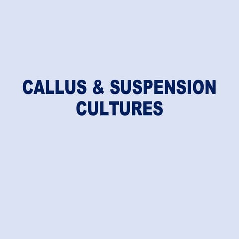 Establishment and maintenance of callus and suspension culture.pptx