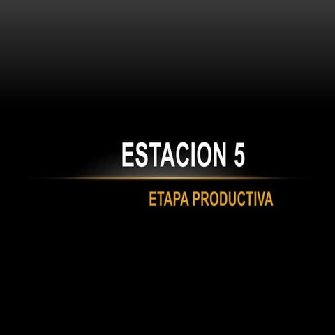 Estacion 5