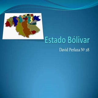 Estado bólivar