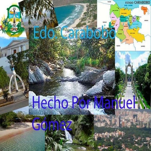 Estado carabobo