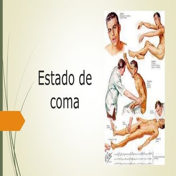Estado de coma y criterios de muerte cerebral