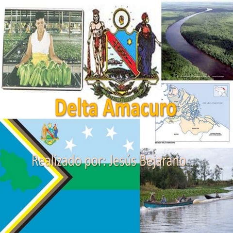 Estado delta amacuro