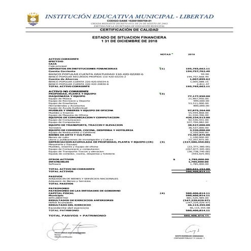 Estado de situacion financiera dic 31 2018 | PDF