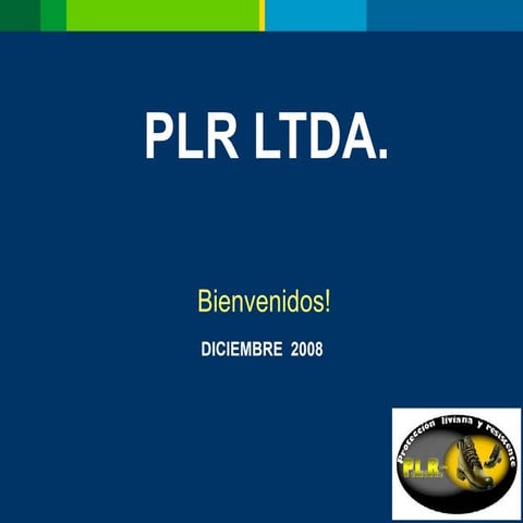 Estados Financieros Plr Ii