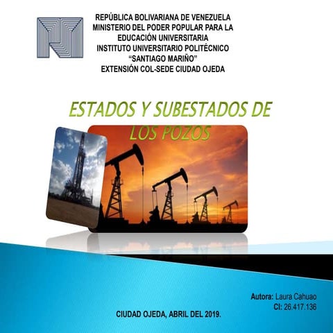 Categoría, estados y subestados de los pozos