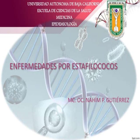 Estafilococos
