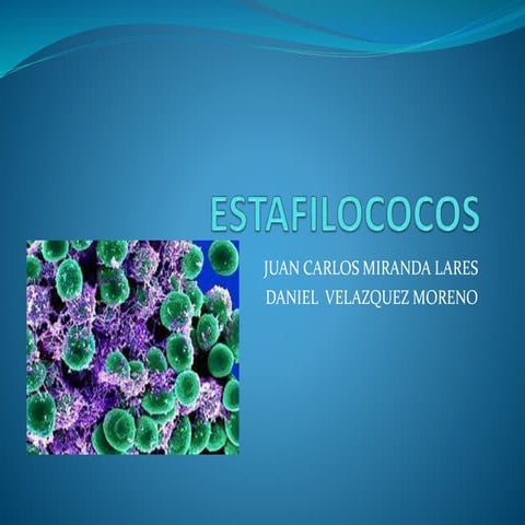 Estafilococos