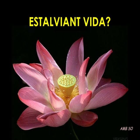 Estalviant vida