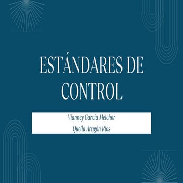 PRESENTACION DE LOS ESTANDARES DE CONTROL | PPTX