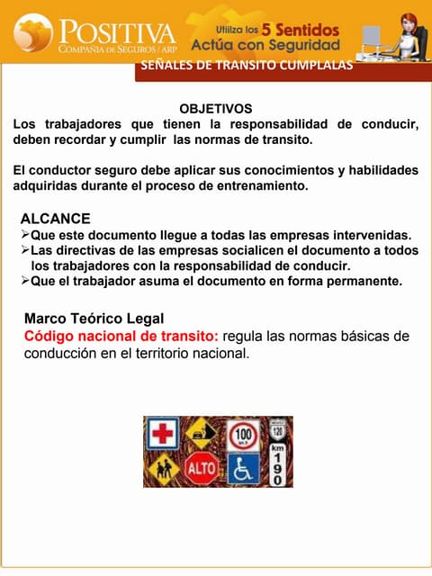 Estandares de seguridad normas de transito