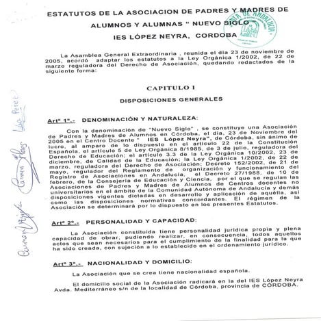 Estatutos ampa nuevo siglo