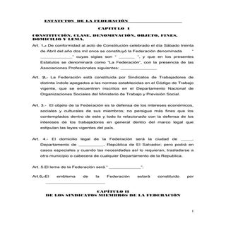 Estatutos  federación sector privado