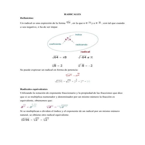 Estela triguero radicales