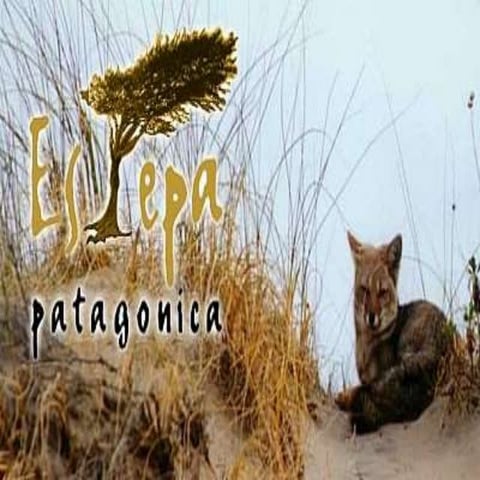 Estepa patagónica powerpoint