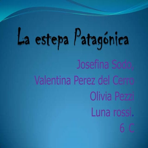 AMBIENTE: Estepa Patagónica 6º C